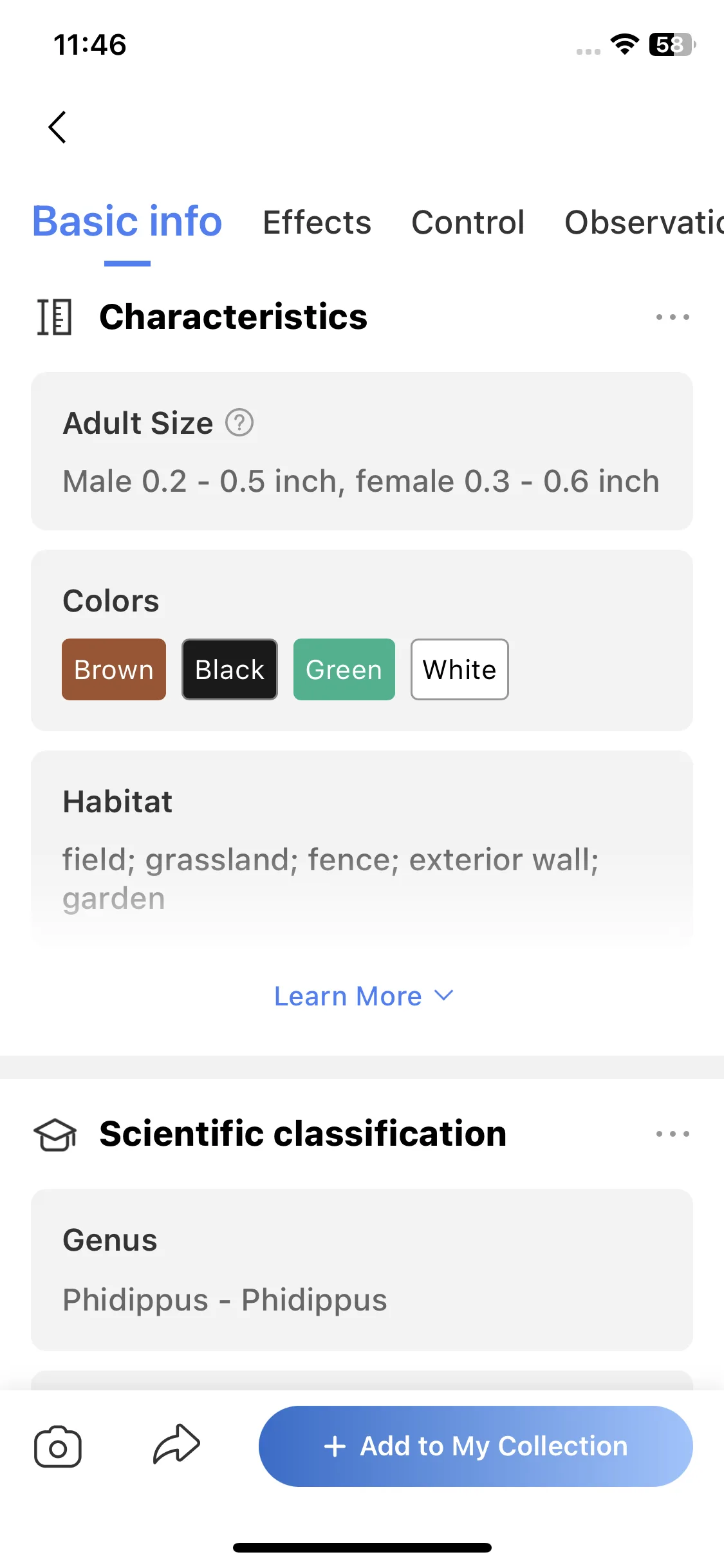 Test Image 11